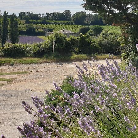 Le Clos Du Grand Chene - Gites 4 Etoiles - Saint-Marcel-d'Ardeche المظهر الخارجي الصورة