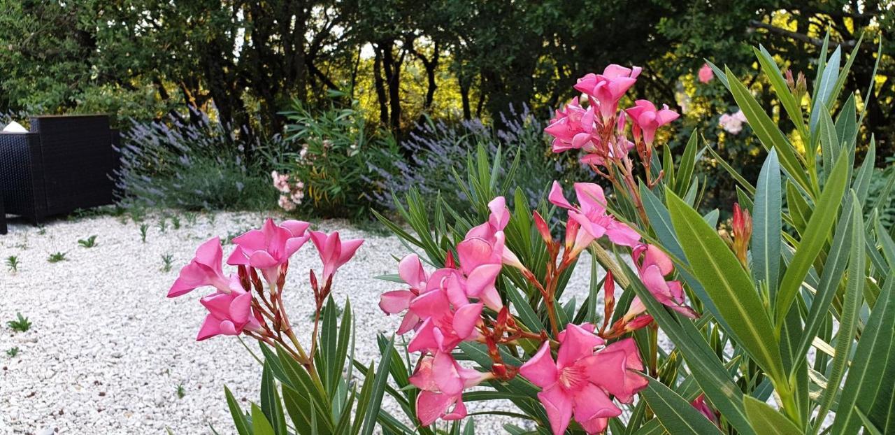 Le Clos Du Grand Chene - Gites 4 Etoiles - Saint-Marcel-d'Ardeche المظهر الخارجي الصورة